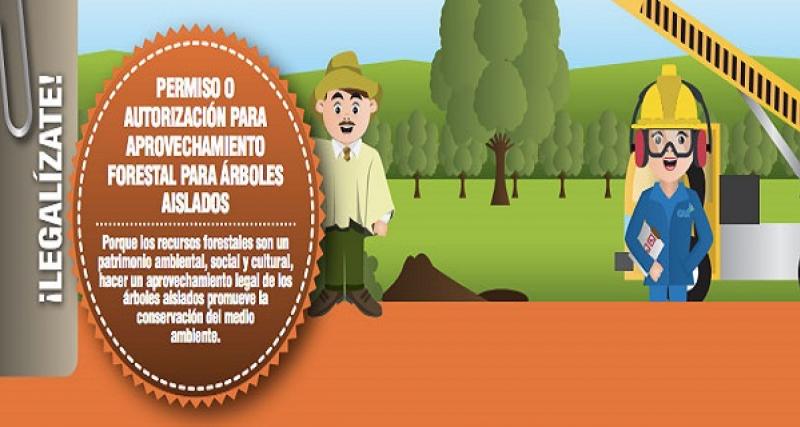 Emisión de licencias para árboles fuera de bosque