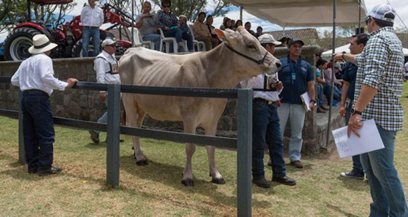 Permiso zoosanitario de funcionamiento de centros de concentración de animales de producción