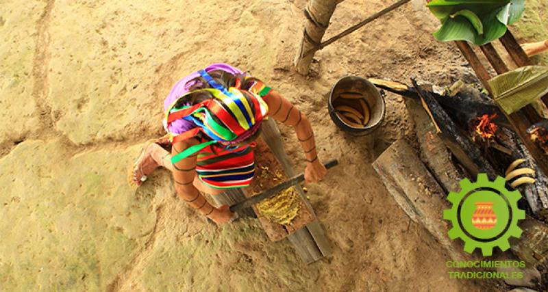 Registro de Depósito Voluntario único de conocimientos tradicionales 