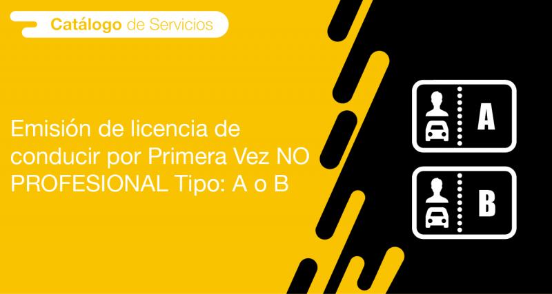 El usuario requirente puede solicitar en la ANT la emisión de licencia de conducir por Primera Vez NO Profesional Tipo: A o B