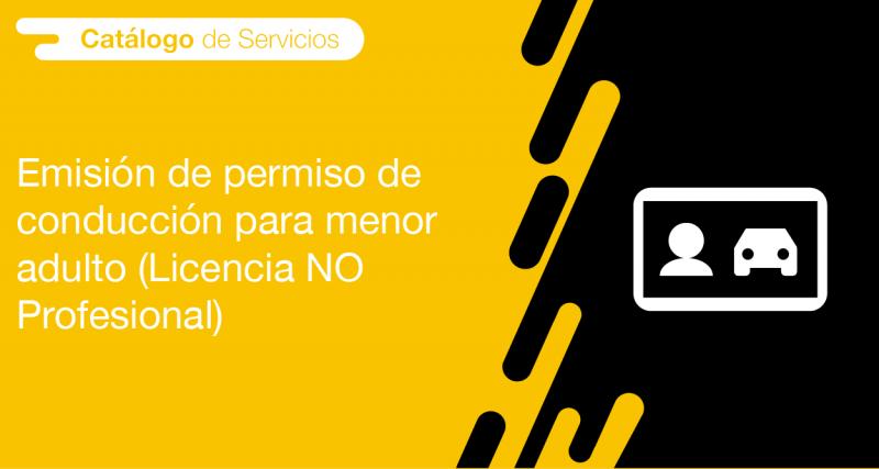 El usuario requirente puede solicitar a la ANT la emisión de permiso de conducción para menor adulto (Licencia NO Profesional)