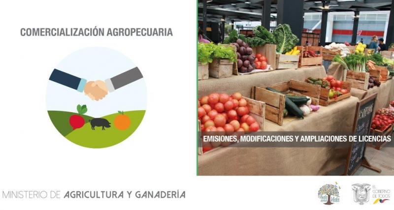 Emision de Licencia de importación comercialización excepto países de la Comunidad Andina de Naciones