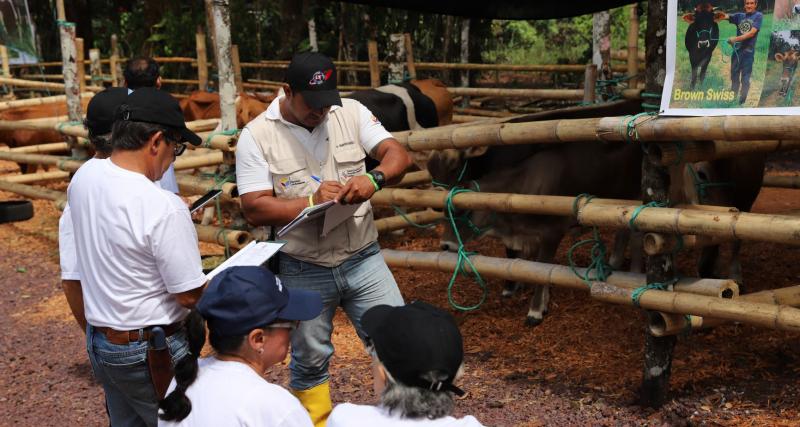 Certificación zoosanitaria de animales de granja previo su movilización