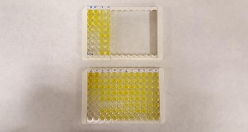 Neumonía Enzootica Porcina ELISA