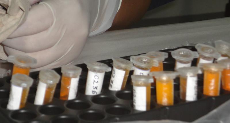 Solicitud de analisis de muestra de Brucelosis Bovina por ELISA Indirecto en leche y suero