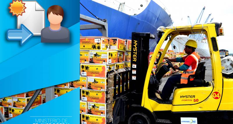 Actualización de Representante Legal de Operadores Portuarios de Carga.