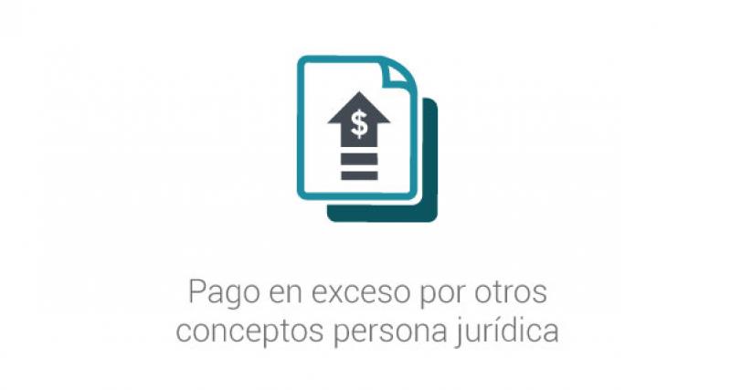 Pago en exceso por otros conceptos persona jurídica