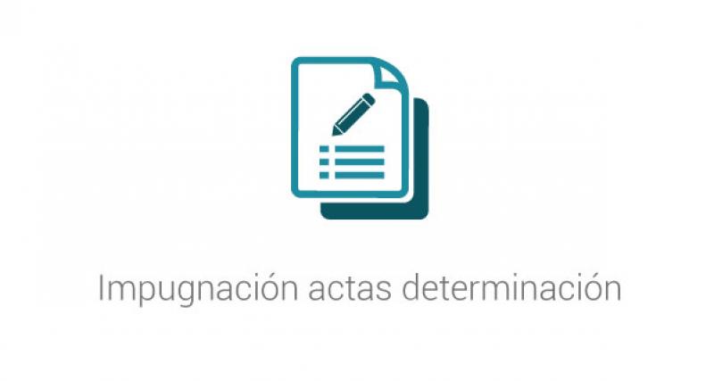 Impugnación actas determinación