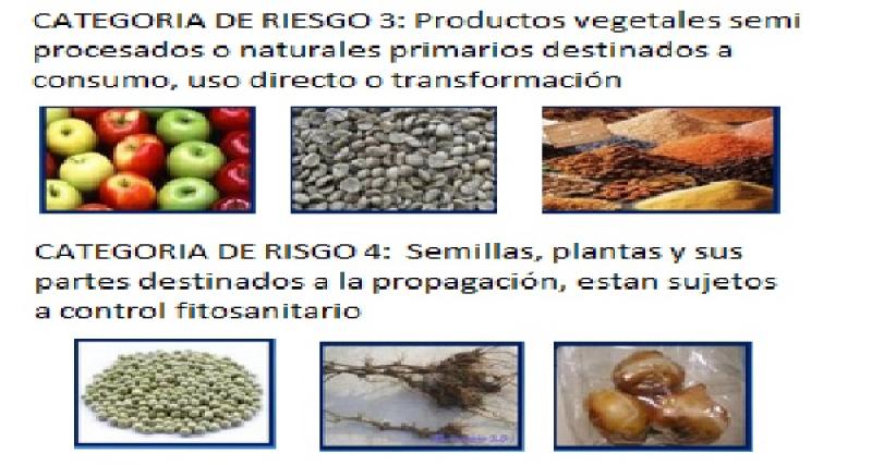 Categorizacion de riesgo