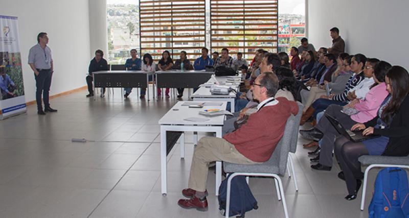 Asesoramiento en la elaboración de Planes de Negocio.