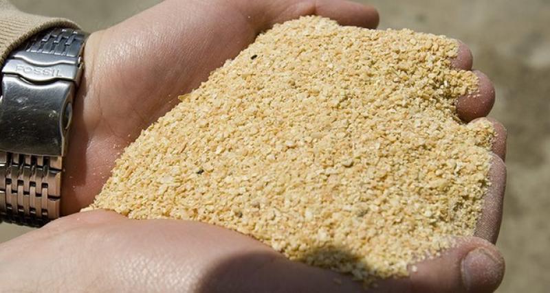 Solicitud De Permiso Fitosanitario De Importacion Para Torta De Soya Hasta 1000 Tm Ecuador Guia Oficial De Tramites Y Servicios