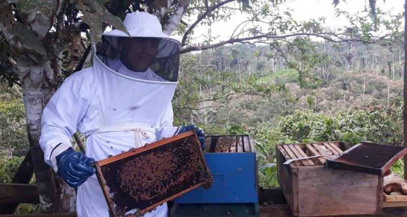  Certificado Zoosanitario de producción y movilidad - predios apícolas