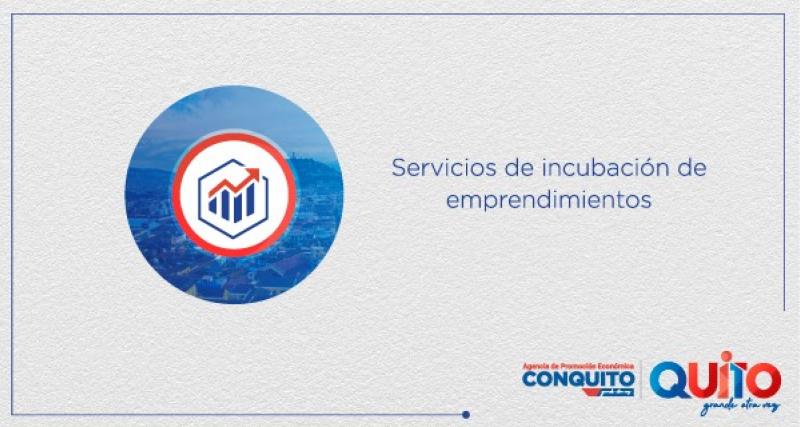 Servicios De Incubacion De Emprendimientos Ecuador Guia Oficial De Tramites Y Servicios