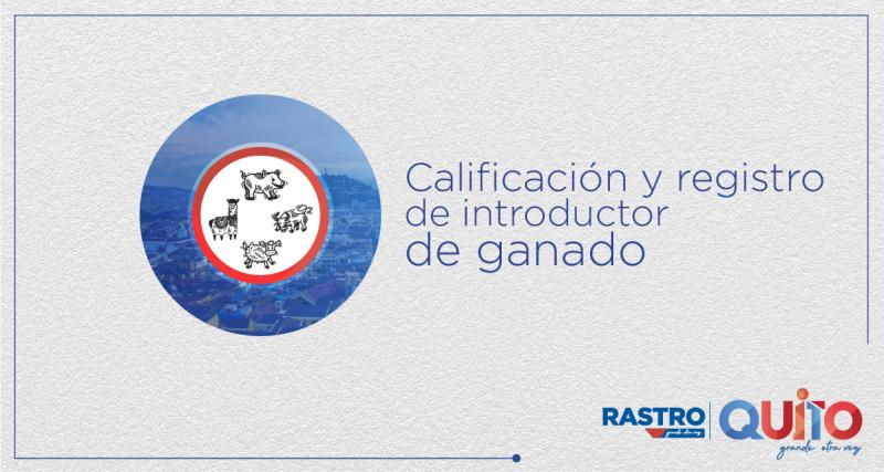 Calificación y registro de introductores