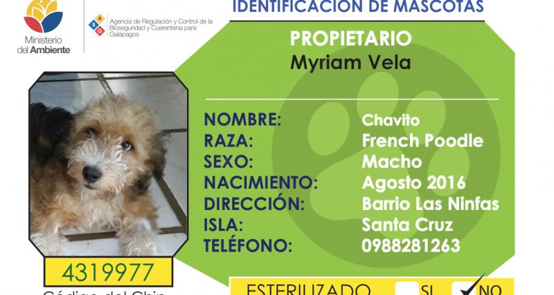 Registro de mascotas