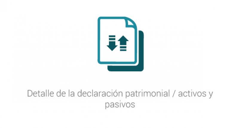 Detalle de la declaración patrimonial / activos y pasivos