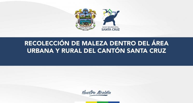 Recolección de maleza dentro del área urbana y rural del cantón Santa Cruz
