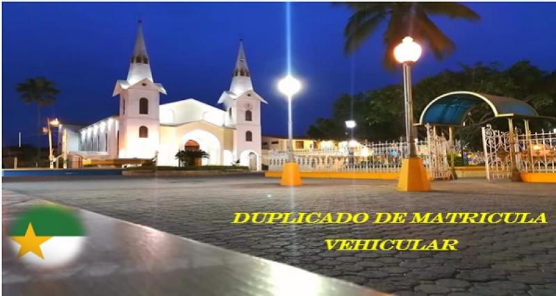 DUPLICADO DE MATRICULA VEHICULAR