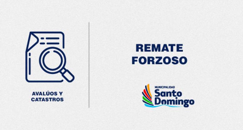 Remate Forzoso