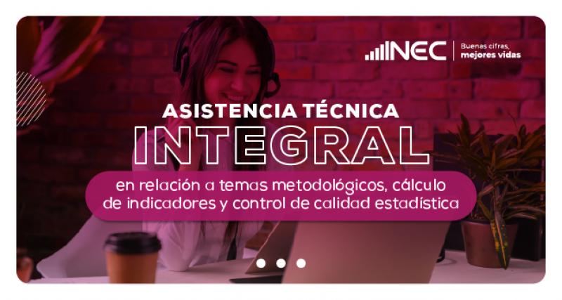 Asistencia Técnica para apoyar en la ejecución del proceso de producción estadística de las entidades del Sistema Estadístico Nacional-SEN