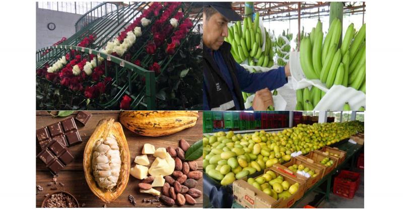 Productos vegetales ecuatorianos