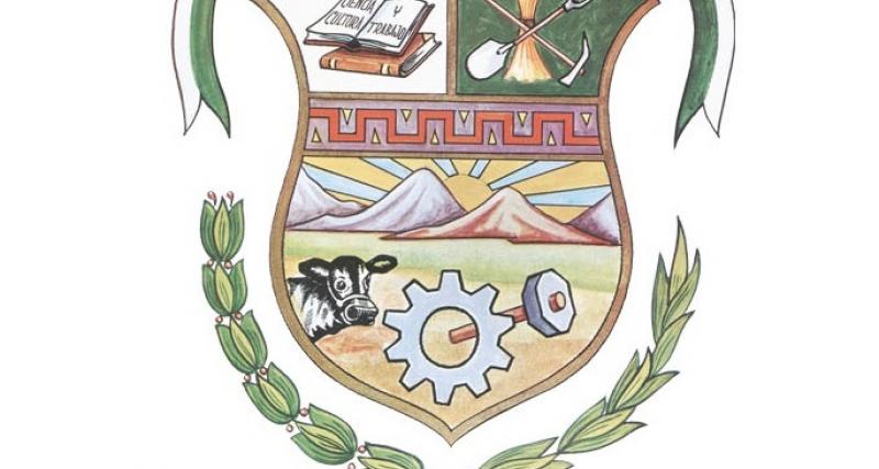 Inscripción de Posesión Efectiva 