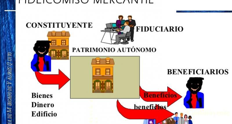 FIDEICOMISO (Siempre que involucre bienes inmuebles)