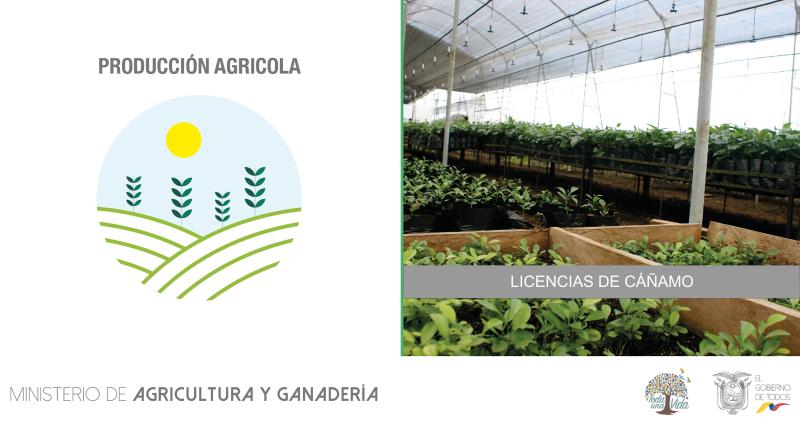 Licencia Cultivo Industrial