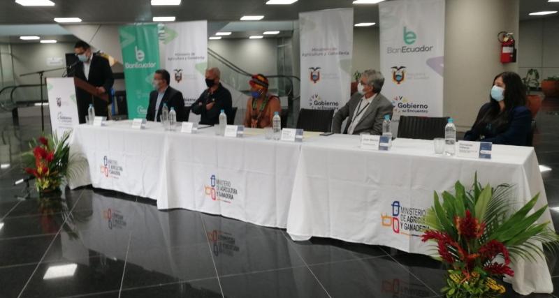 asignación temporal áreas entidades públicas