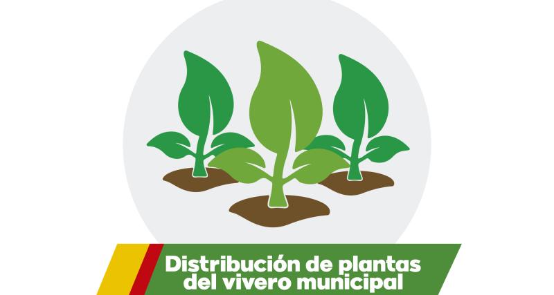 Distribución de plantas del vivero municipal