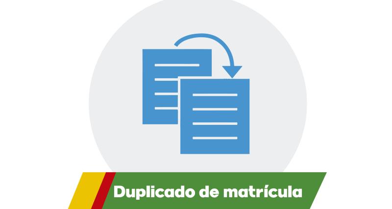 Duplicado de matrícula