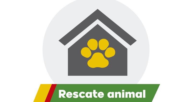 Rescate animal