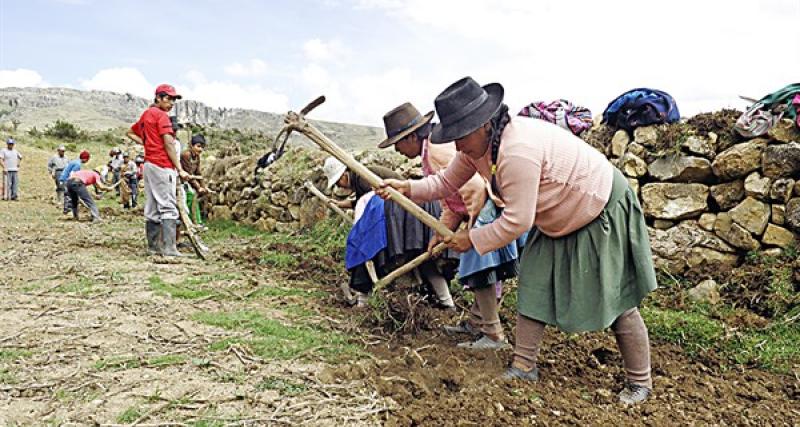 fortalecimiento juntas de riego