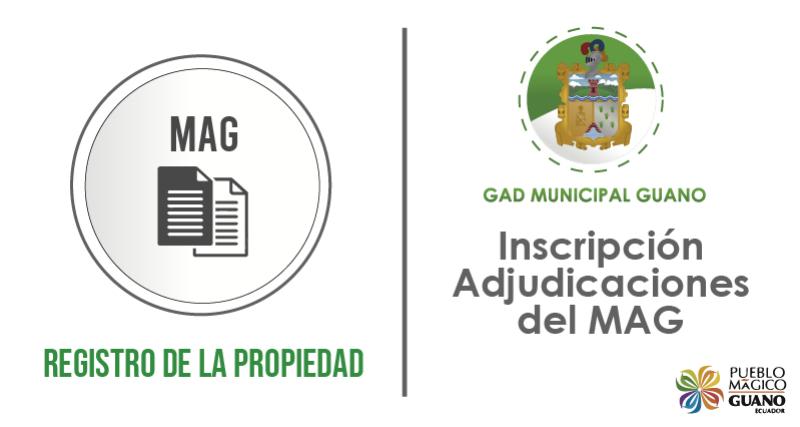 ADJUDICACION DEL MAG