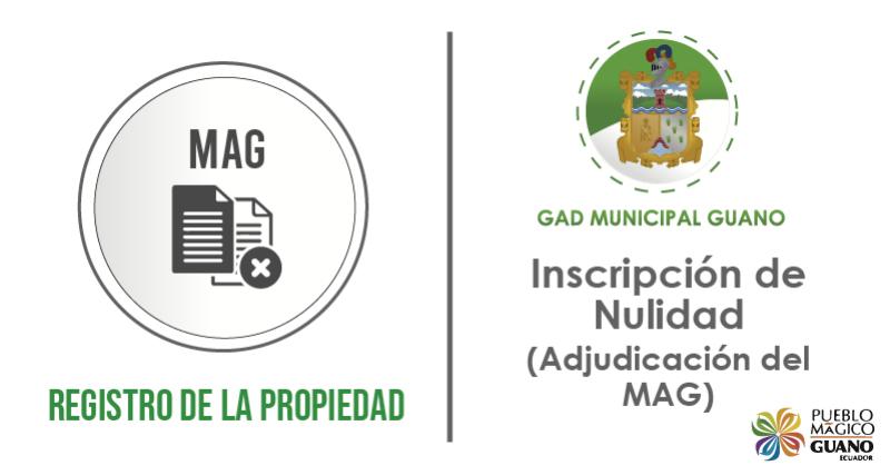 NULIDAD DE ADJUDICCION DEL MAG