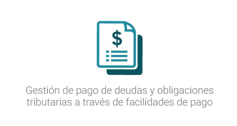 Facilidades de pago con garantía