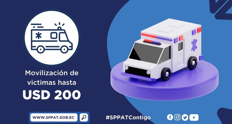 Imagen Transporte y movilización