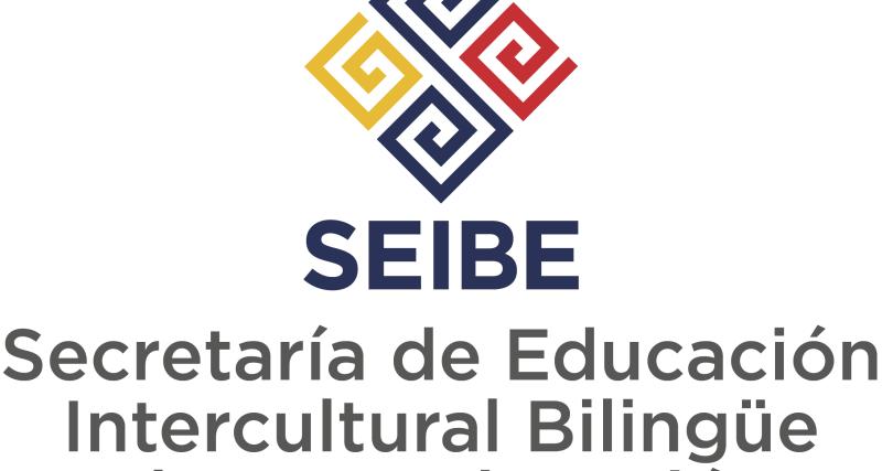 Logo SEIBE