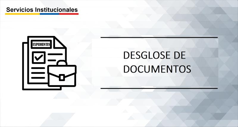 DESGLOSE DE DOCUMENTOS