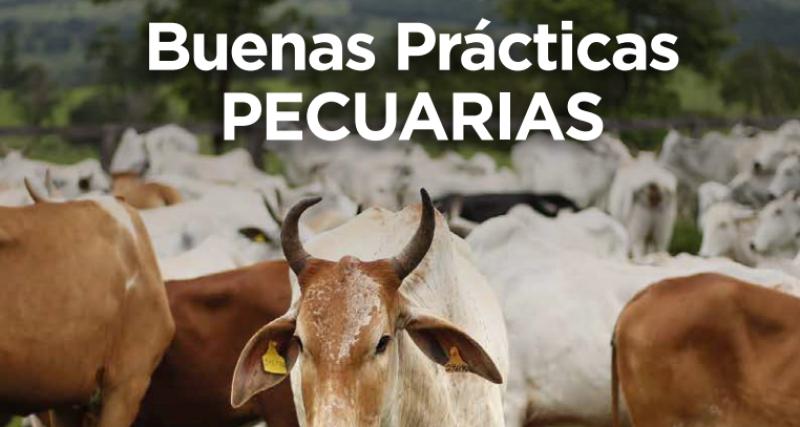 Buenas Prácticas Pecuarias