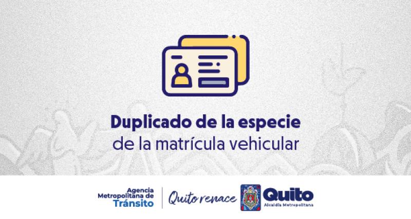 Duplicado de la Matrícula Vehicular