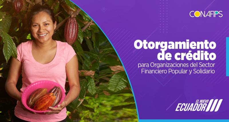 Otorgamiento de crédito para Organizaciones del Sector Financiero Popular y Solidario
