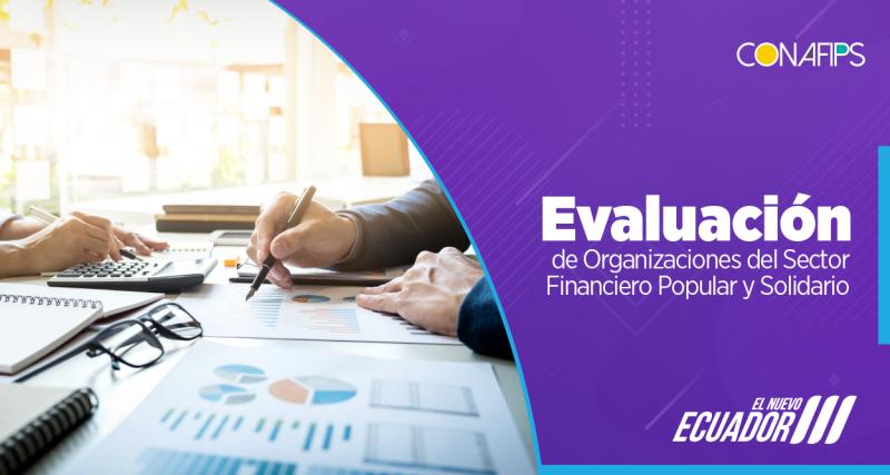 Evalucion Integral de Organizaciones del Sector Financiero Popular y Solidario