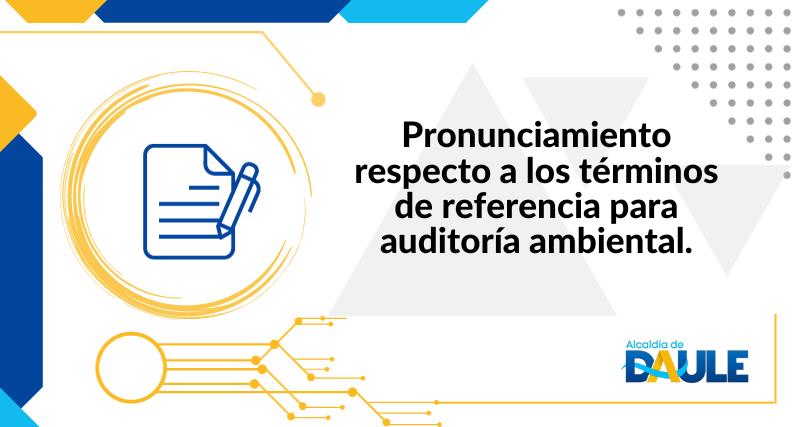 PRONUNCIAMIENTO RESPECTO A LOS TÉRMINOS DE REFERENCIA PARA AUDITORIA AMBIENTAL