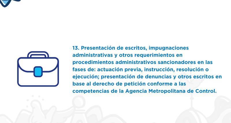 Presentación de escritos, alegatos, recurso extraordinario de revisión del acto administrativo,  escritos encaminados a la ejecución de la resolución que puso fin al procedimiento Administrativo Sancionador.