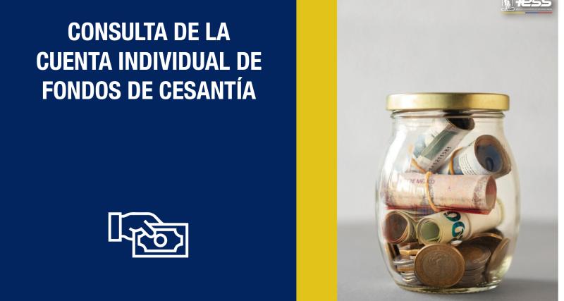 Consulta de la Cuenta Individual de Fondos de Cesantía