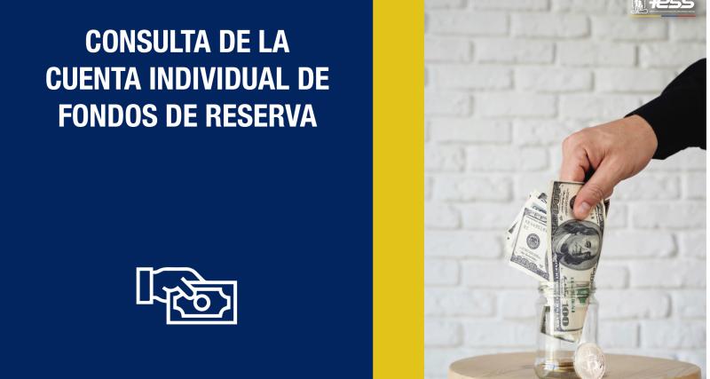 Consulta de la Cuenta Individual de Fondos de Reserva