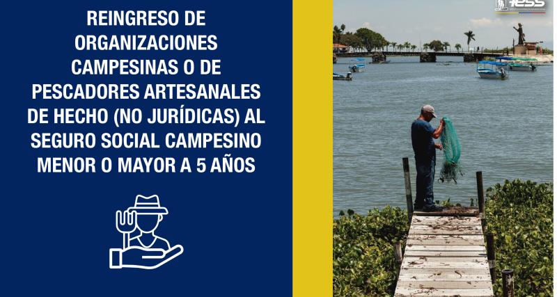 Reingreso de organizaciones campesinas o de pescadores artesanales de hecho (no jurídicas) al Seguro Social Campesino  menor o mayor a 5 años.