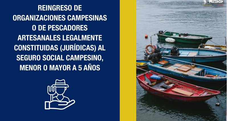 Reingreso de organizaciones campesinas o de pescadores artesanales legalmente constituidas (jurídicas) al Seguro Social Campesino, menor o mayor a 5 años