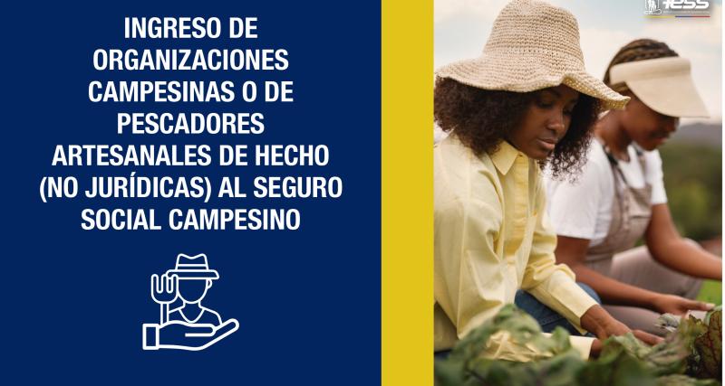 Ingreso de organizaciones campesinas o de pescadores artesanales de hecho (no jurídicas) al Seguro Social Campesino